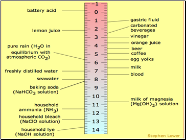 pH Scale