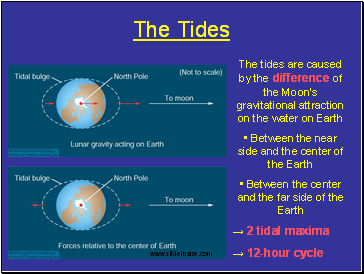 The Tides