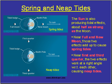 Spring and Neap Tides