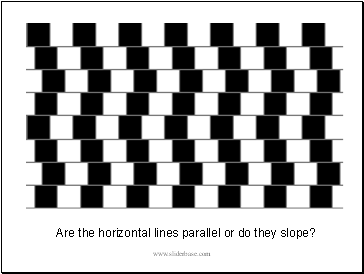 Are the horizontal lines parallel or do they slope?