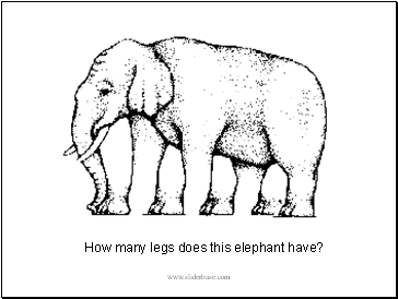 How many legs does this elephant have?