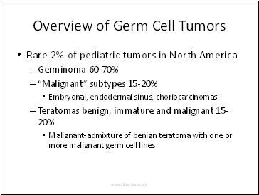 Overview of Germ Cell Tumors
