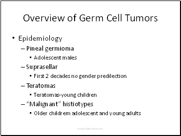 Overview of Germ Cell Tumors