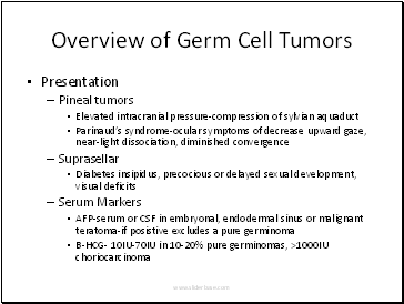 Overview of Germ Cell Tumors