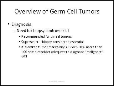 Overview of Germ Cell Tumors