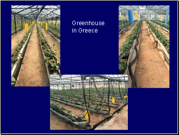 Greenhouse in Greece