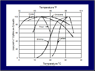 Direct heat utilization of geothermal energy