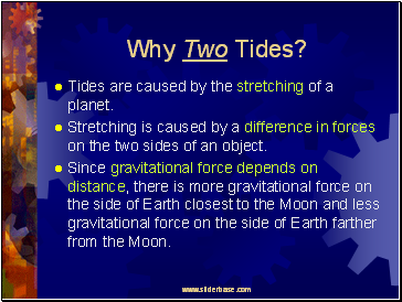 Why Two Tides?