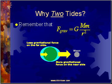 Why Two Tides?