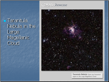 Tarantula Nebula in the Large Magellanic Cloud Tarantula Nebula in the Large Magellanic Cloud