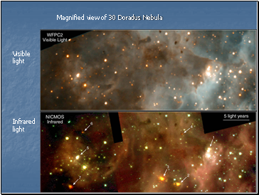 Birthplace of massive stars: 30 Doradus Nebula