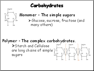 Carbohydrates