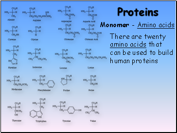 Proteins