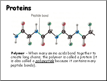 Proteins