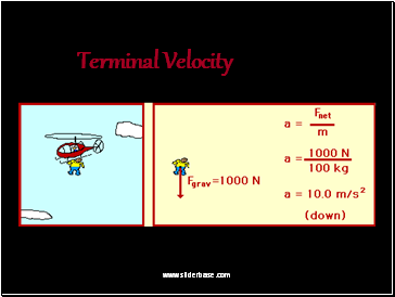 Terminal Velocity