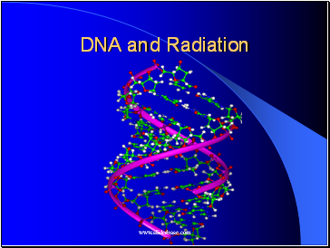 DNA and Radiation