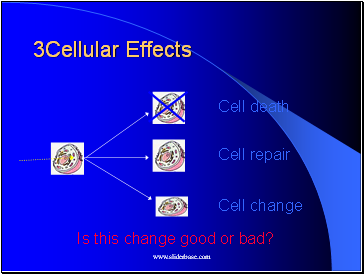 Cellular Effects