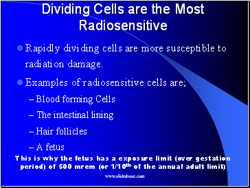 Dividing Cells are the Most Radiosensitive
