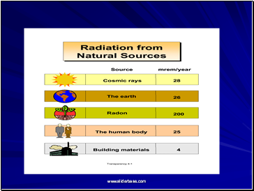 Neutrons