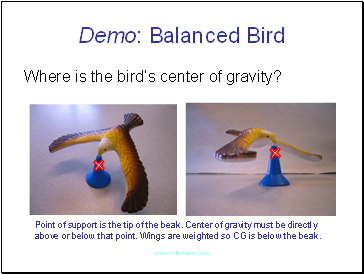 Demo: Balanced Bird