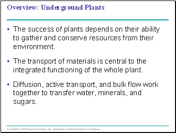 Underground Plants