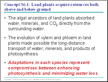 Concept 36.1: Land plants acquire resources both above and below ground