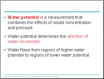 Water potential is a measurement that combines the effects of solute concentration and pressure.