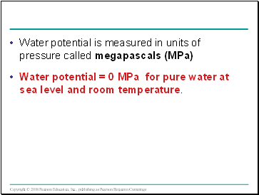 Water potential is measured in units of pressure called megapascals (MPa)