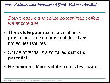 How Solutes and Pressure Affect Water Potential