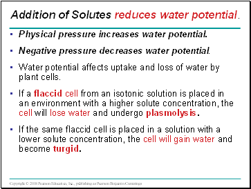 Physical pressure increases water potential.