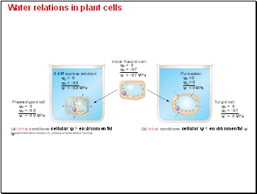 Water relations in plant cells