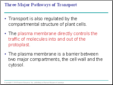 Three Major Pathways of Transport