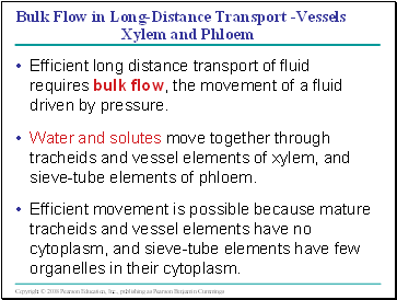 Bulk Flow in Long-Distance Transport -Vessels Xylem and Phloem