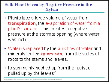 Bulk Flow Driven by Negative Pressure in the Xylem
