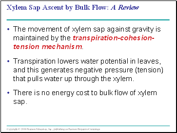 Xylem Sap Ascent by Bulk Flow: A Review