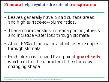 Stomata help regulate the rate of transpiration