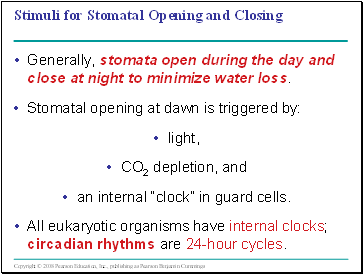 Stimuli for Stomatal Opening and Closing