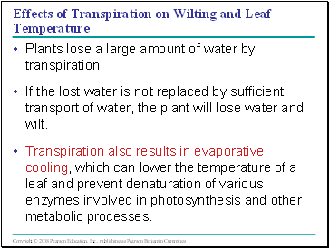 Effects of Transpiration on Wilting and Leaf Temperature