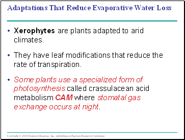 Adaptations That Reduce Evaporative Water Loss