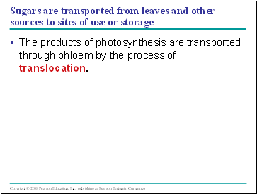 Sugars are transported from leaves and other sources to sites of use or storage