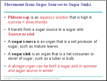 Movement from Sugar Sources to Sugar Sinks