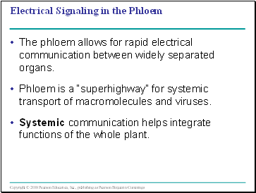 Electrical Signaling in the Phloem