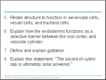 Relate structure to function in sieve-tube cells, vessel cells, and tracheid cells.