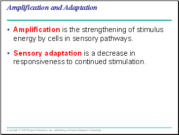 Amplification and Adaptation