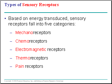 Types of Sensory Receptors