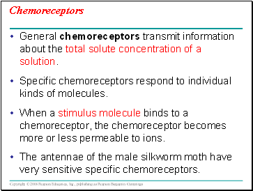 Chemoreceptors