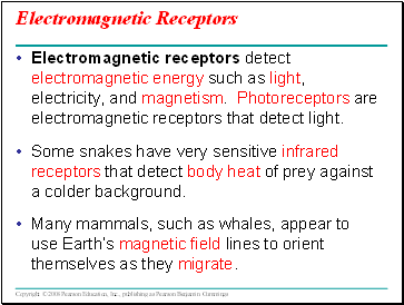 Electromagnetic Receptors