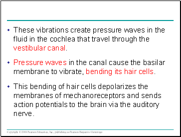 These vibrations create pressure waves in the fluid in the cochlea that travel through the vestibular canal.