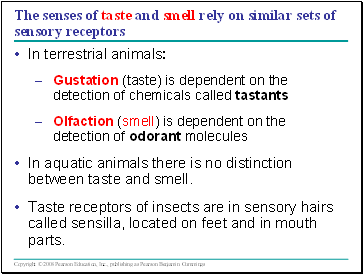 The senses of taste and smell rely on similar sets of sensory receptors