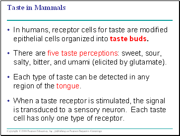 Taste in Mammals